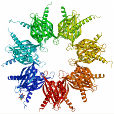 PROTEINS